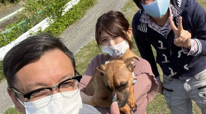 保護犬、保護猫を救うには、、