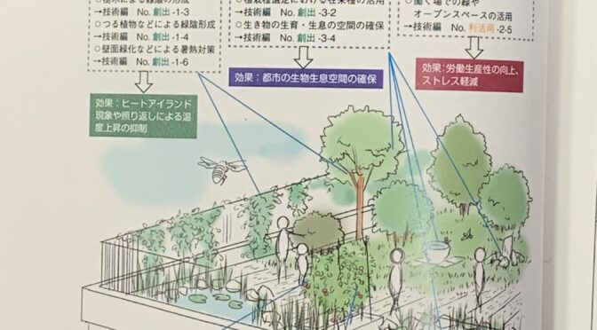 【環境建設委員会】中央区グリーンインフラガイドラインが策定！緑被率とは