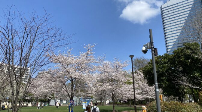 【政策】中央区の公園環境整備、プレイパーク等子どもの遊び場の確保を